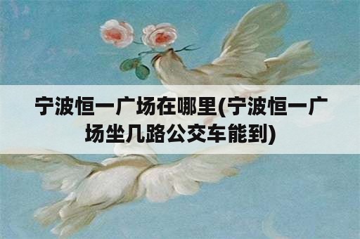 宁波恒一广场在哪里(宁波恒一广场坐几路公交车能到)