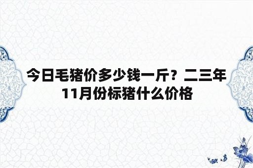 今日毛猪价多少钱一斤？二三年11月份标猪什么价格