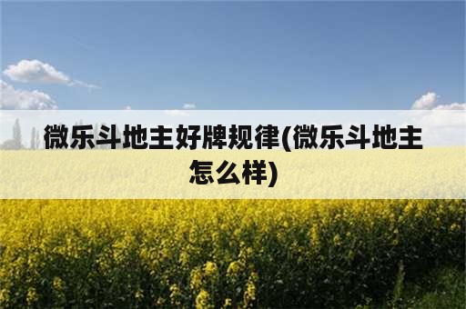 微乐斗地主好牌规律(微乐斗地主怎么样)