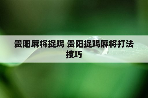 贵阳麻将捉鸡 贵阳捉鸡麻将打法技巧