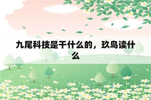 九尾科技是干什么的，玖鸟读什么