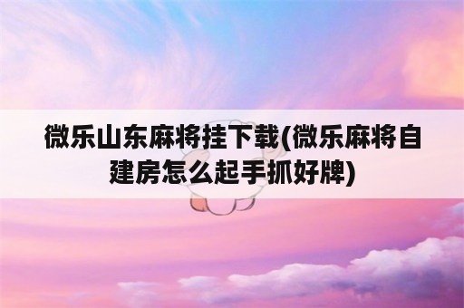 微乐山东麻将挂下载(微乐麻将自建房怎么起手抓好牌)