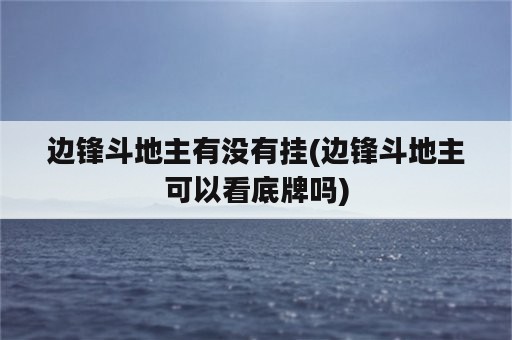 边锋斗地主有没有挂(边锋斗地主可以看底牌吗)