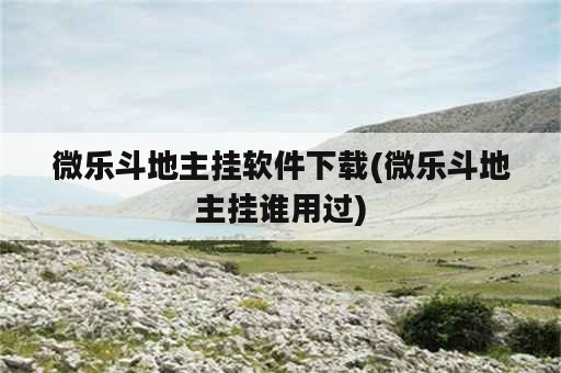 微乐斗地主挂软件下载(微乐斗地主挂谁用过)