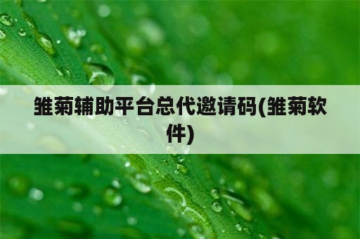 雏菊辅助平台总代邀请码(雏菊软件)