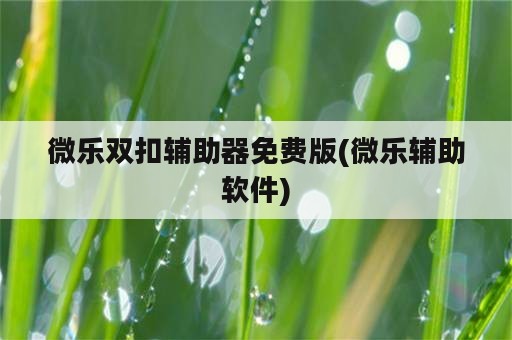 微乐双扣辅助器免费版(微乐辅助软件)