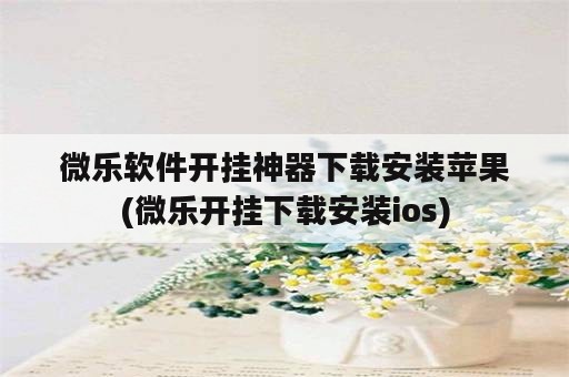 微乐软件开挂神器下载安装苹果(微乐开挂下载安装ios)