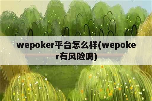 wepoker平台怎么样(wepoker有风险吗)