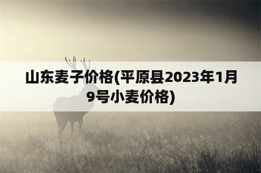 山东麦子价格(平原县2023年1月9号小麦价格)