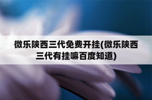 微乐陕西三代免费开挂(微乐陕西三代有挂嘛百度知道)