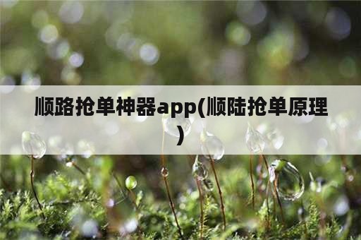 顺路抢单神器app(顺陆抢单原理)