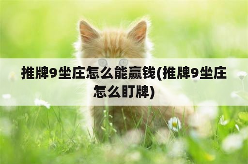 推牌9坐庄怎么能赢钱(推牌9坐庄怎么盯牌)