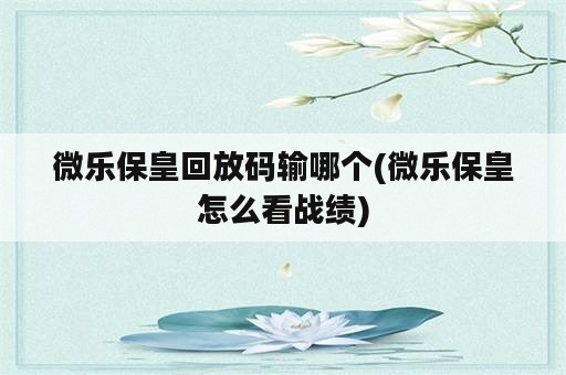 微乐保皇回放码输哪个(微乐保皇怎么看战绩)