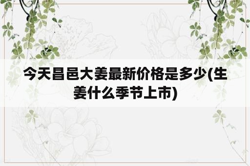 今天昌邑大姜最新价格是多少(生姜什么季节上市)