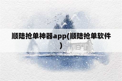 顺陆抢单神器app(顺陆抢单软件)