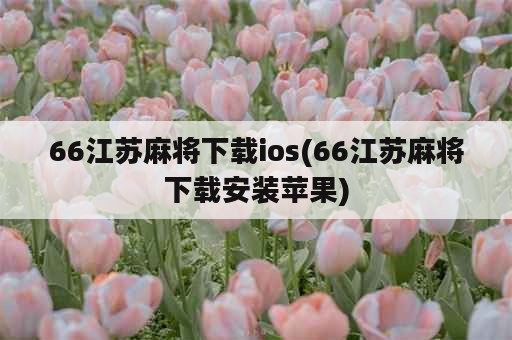 66江苏麻将下载ios(66江苏麻将下载安装苹果)