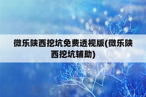 微乐陕西挖坑免费透视版(微乐陕西挖坑辅助)