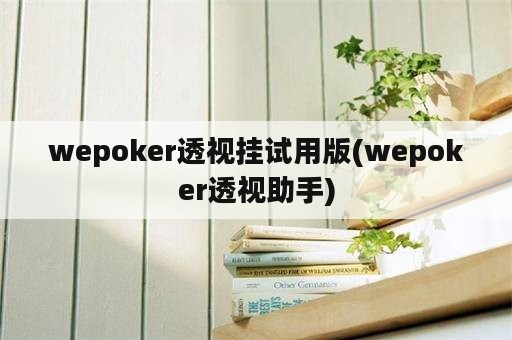 wepoker透视挂试用版(wepoker透视助手)