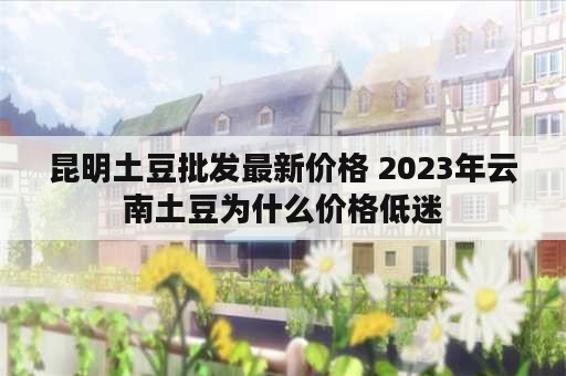 昆明土豆批发最新价格 2023年云南土豆为什么价格低迷