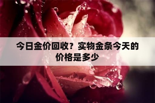 今日金价回收？实物金条今天的价格是多少