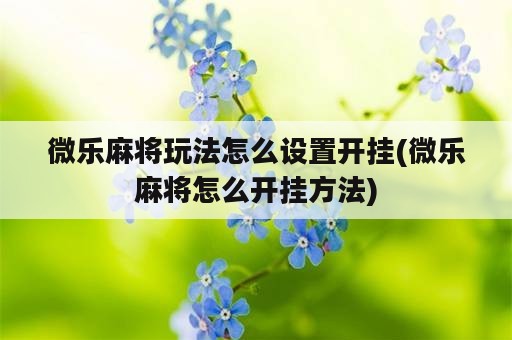 微乐麻将玩法怎么设置开挂(微乐麻将怎么开挂方法)