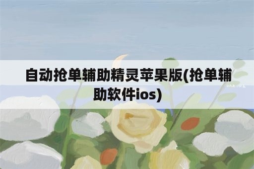 自动抢单辅助精灵苹果版(抢单辅助软件ios)