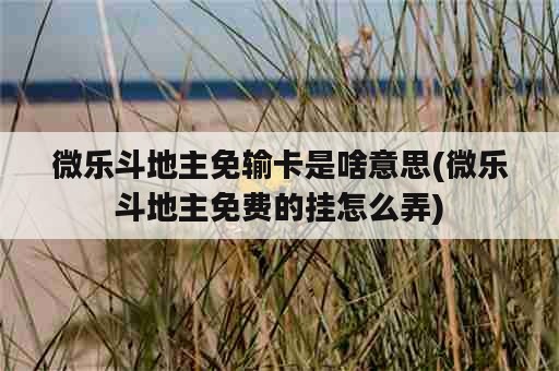 微乐斗地主免输卡是啥意思(微乐斗地主免费的挂怎么弄)