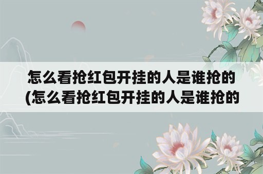 怎么看抢红包开挂的人是谁抢的(怎么看抢红包开挂的人是谁抢的钱)