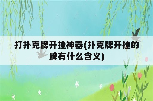 打扑克牌开挂神器(扑克牌开挂的牌有什么含义)