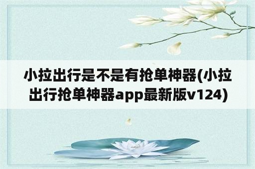 小拉出行是不是有抢单神器(小拉出行抢单神器app最新版v124)