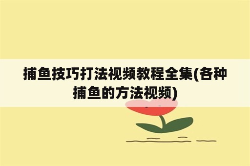 捕鱼技巧打法视频教程全集(各种捕鱼的方法视频)