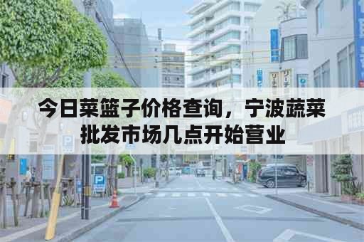 今日菜篮子价格查询，宁波蔬菜批发市场几点开始营业