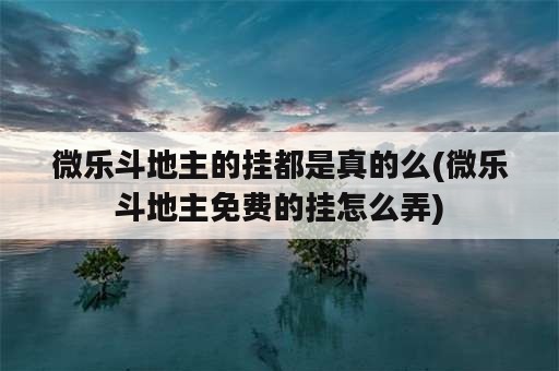 微乐斗地主的挂都是真的么(微乐斗地主免费的挂怎么弄)