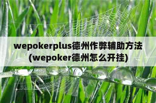 wepokerplus德州作弊辅助方法(wepoker德州怎么开挂)