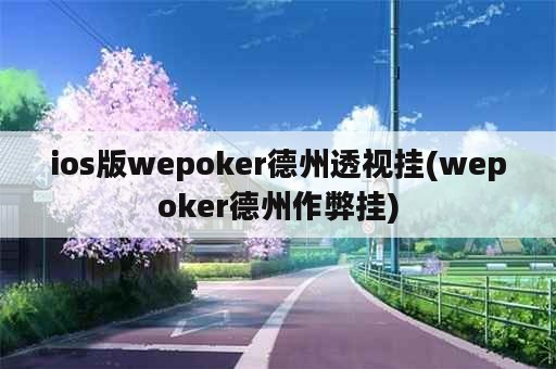 ios版wepoker德州透视挂(wepoker德州作弊挂)