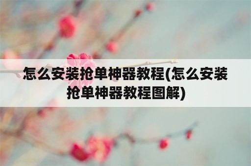 怎么安装抢单神器教程(怎么安装抢单神器教程图解)