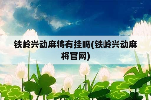 铁岭兴动麻将有挂吗(铁岭兴动麻将官网)