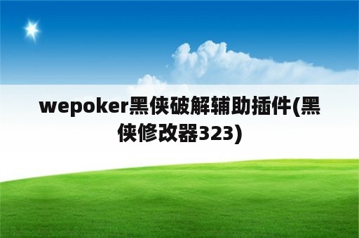 wepoker黑侠破解辅助插件(黑侠修改器323)