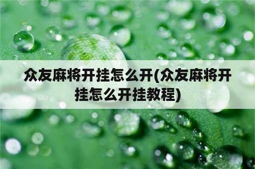 众友麻将开挂怎么开(众友麻将开挂怎么开挂教程)