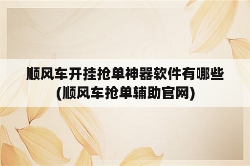 顺风车开挂抢单神器软件有哪些(顺风车抢单辅助官网)