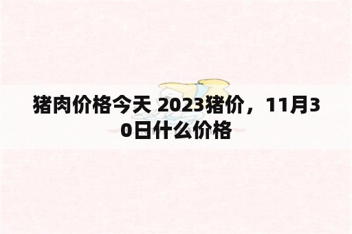 猪肉价格今天 2023猪价，11月30日什么价格