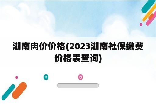 湖南肉价价格(2023湖南社保缴费价格表查询)