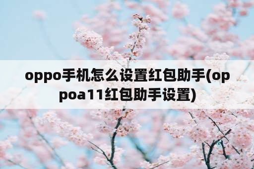 oppo手机怎么设置红包助手(oppoa11红包助手设置)