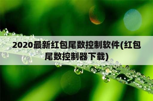 2020最新红包尾数控制软件(红包尾数控制器下载)