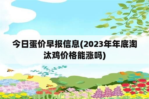 今日蛋价早报信息(2023年年底淘汰鸡价格能涨吗)