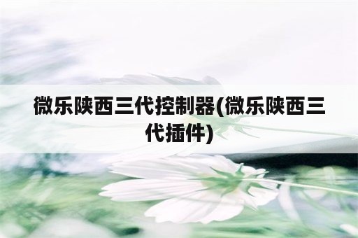 微乐陕西三代控制器(微乐陕西三代插件)