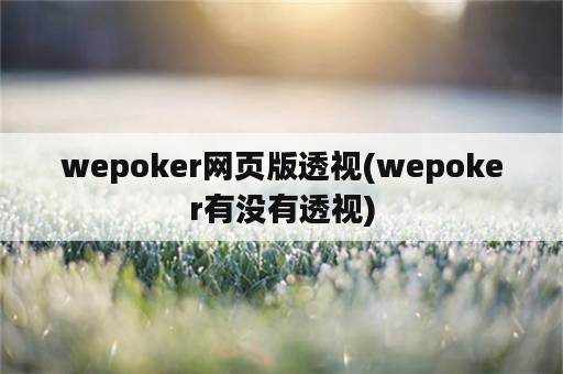 wepoker网页版透视(wepoker有没有透视)