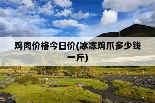 鸡肉价格今日价(冰冻鸡爪多少钱一斤)