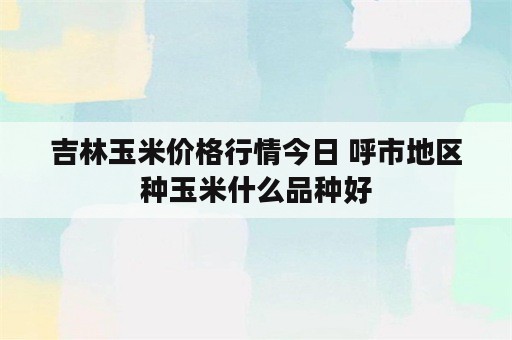 吉林玉米价格行情今日 呼市地区种玉米什么品种好