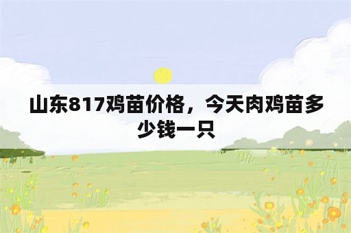 山东817鸡苗价格，今天肉鸡苗多少钱一只